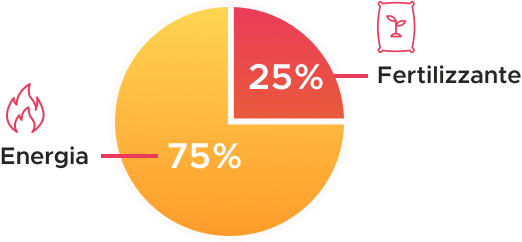 energia: 75%; fertilizzante: 25%